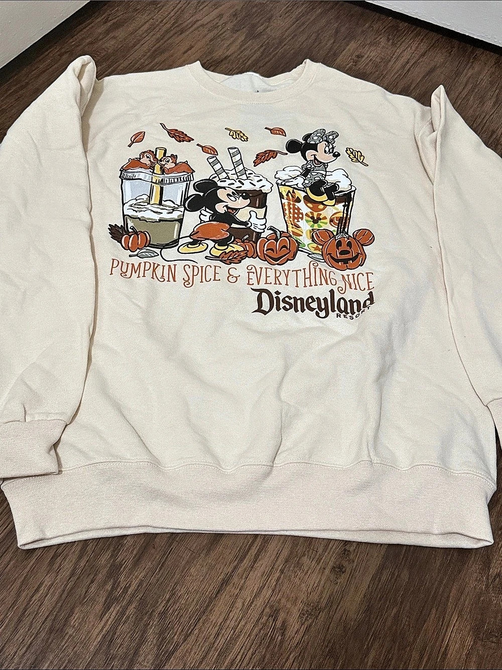Disney Disneyland Resort Pumpkin Spice & Everything Nice Graphic Sweatshirt Size